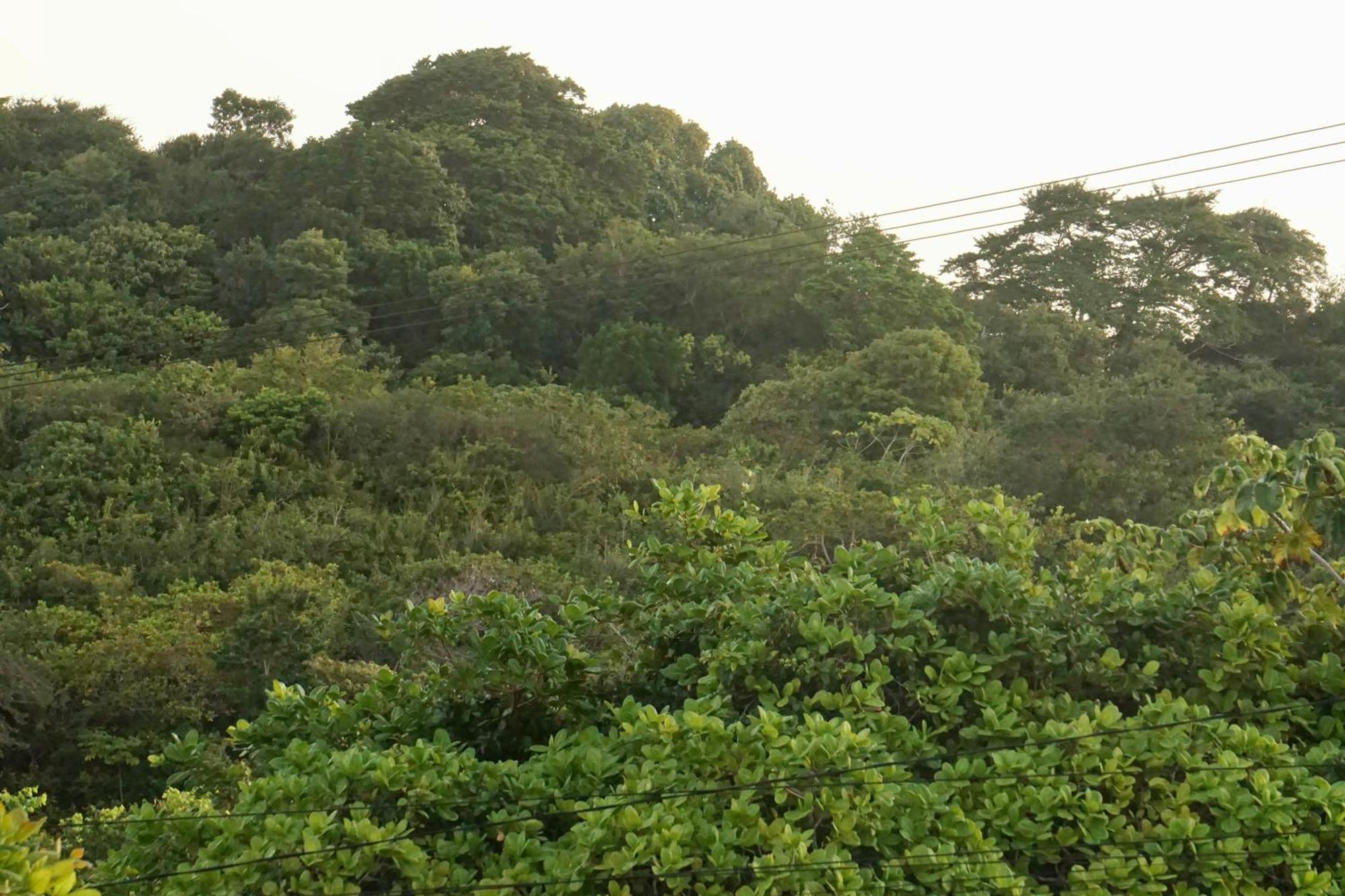 Chales Tucano Praia Da Pipa - Natureza, Conforto, Tranquilidade Praia de Pipa 外观 照片
